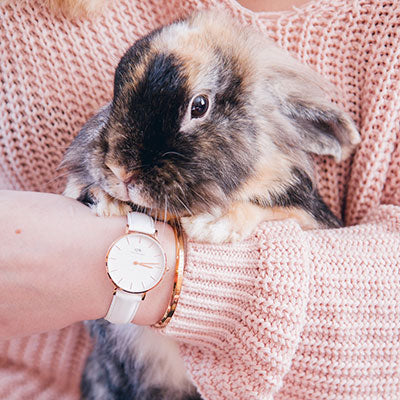 Daniel wellington sale watch sizes