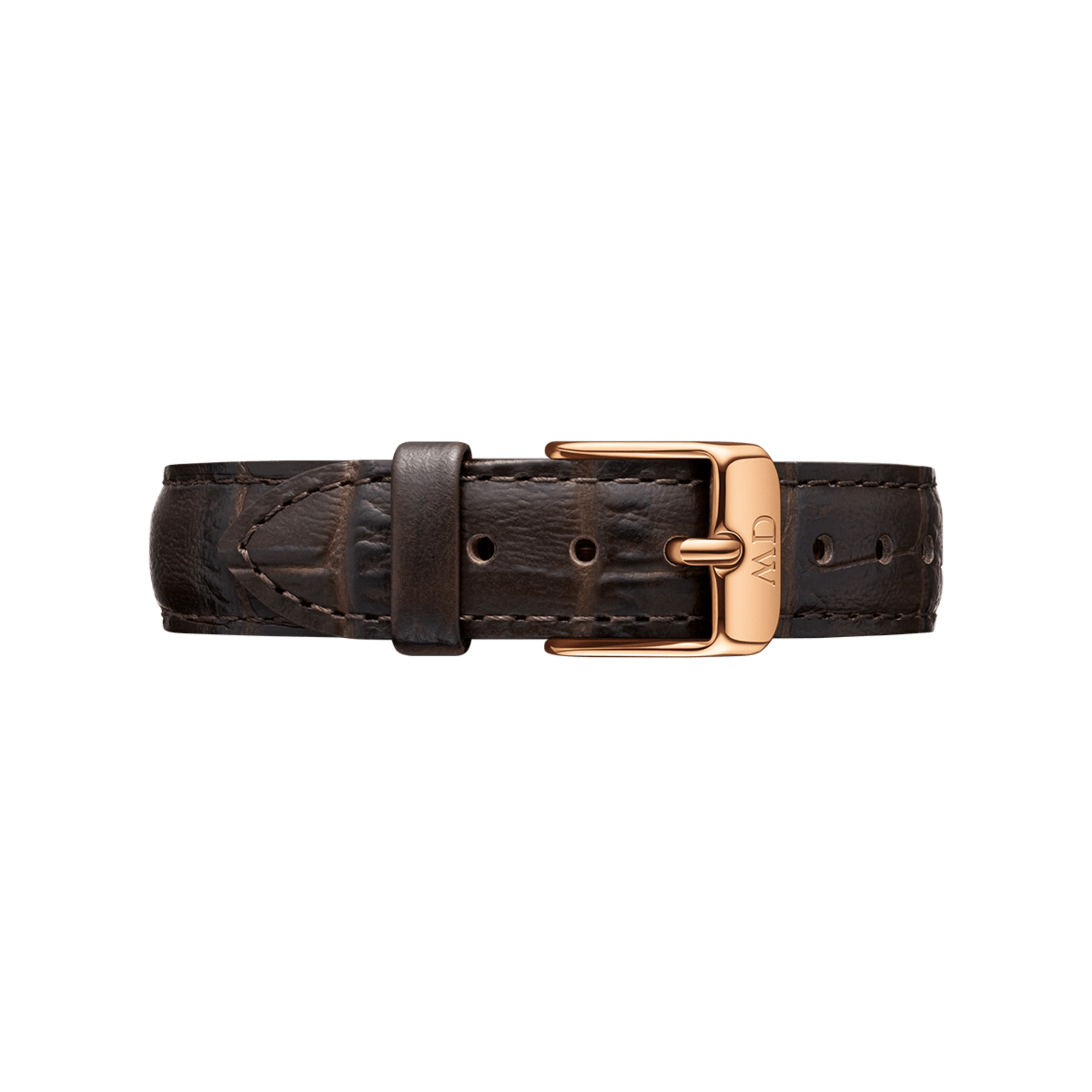 Daniel 2025 wellington belt